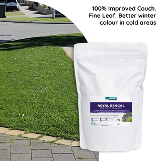 Advanced Seed Royal Bengal Couch (Coated) 1kg