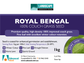 Advanced Seed Royal Bengal Couch