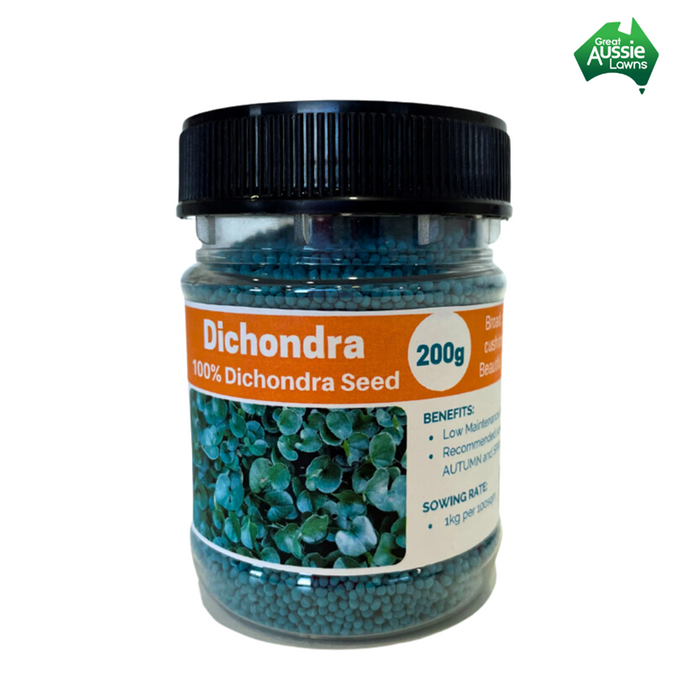 Advanced Seed Dichondra
