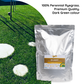 SR 4660ST Turf Perennial Ryegrass