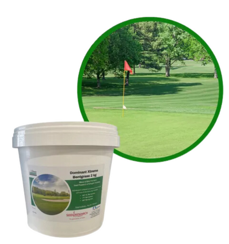 Advanced Seed Bentgrass Dominant X-Treme 2kg