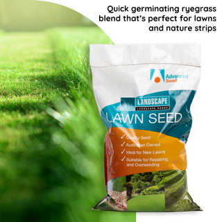 Lawn & Nature Strip Blend Lawn Seed 5kg