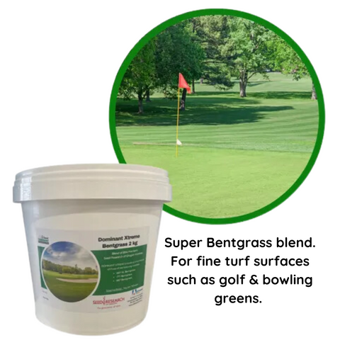 Advanced Seed Bentgrass Dominant X-Treme 2kg