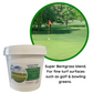 Advanced Seed Bentgrass Dominant X-Treme 2kg