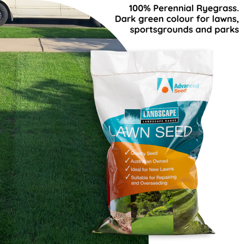 Rapid Green Defiant TTT Ryegrass