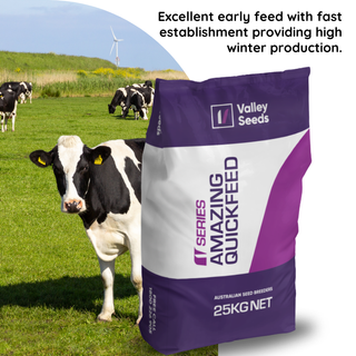 Amazing Quickfeed Pasture Seed Blend 25kg