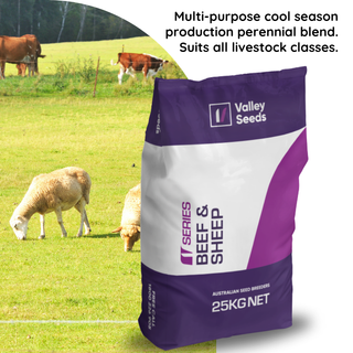 Beef & Sheep Perennial Pasture Seed Blend 25kg