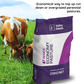 Economy Pasture Seed Blend 25kg