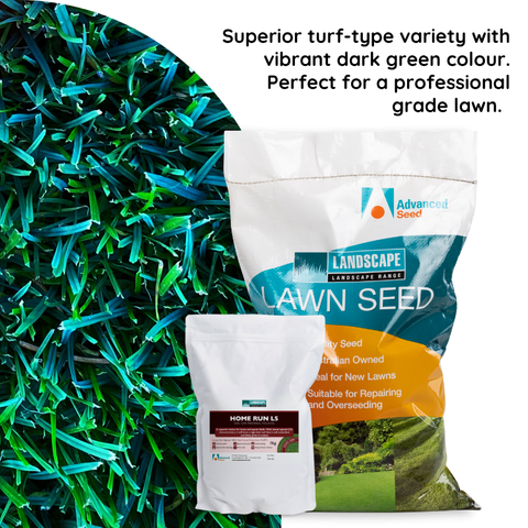 Home Run LS Perennial Ryegrass