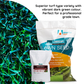 Home Run LS Perennial Ryegrass