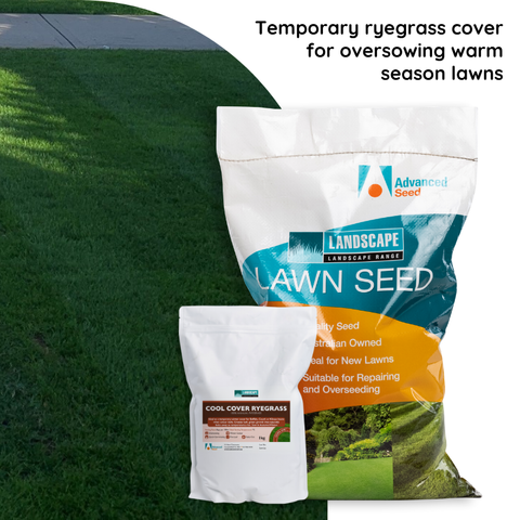 Landscape Range Cool Cover Annual Ryegrass