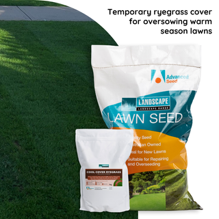 Landscape Range Cool Cover Annual Ryegrass Blend 1kg