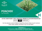 Poachek Herbicide 1Litre