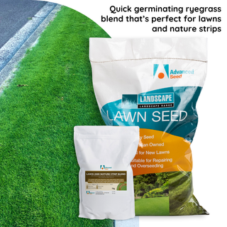 Lawn & Nature Strip Blend Lawn Seed 1kg