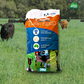 Advanced Seed Drylands Pasture Seed Blend 20kg