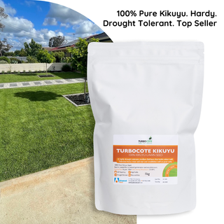 Landscape Range Turbocote Kikuyu Lawn Seed 1kg