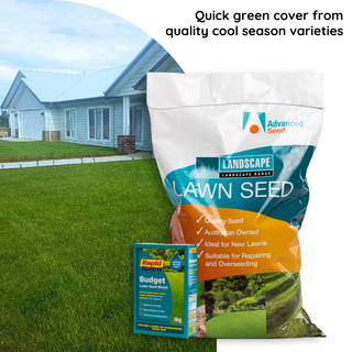 Rapid Green Budget Blend Lawn Seed 1 kg