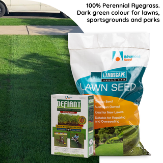 Rapid Green Defiant TTT Turf Ryegrass Seed 1kg