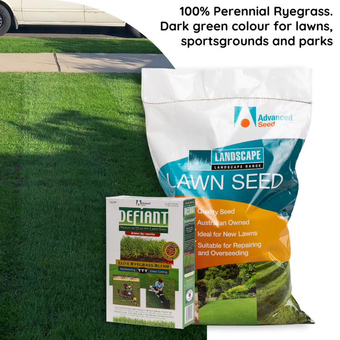 Rapid Green Defiant TTT Ryegrass