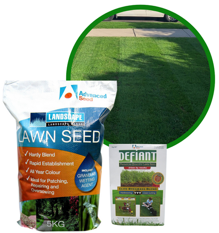 Rapid Green Defiant TTT Turf Ryegrass Seed 1kg