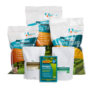 Budget Lawn Seed