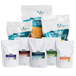 Premium Lawn Seed