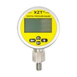 Digital Pressure Gauges