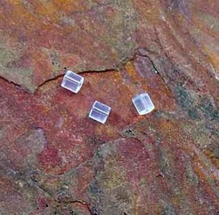 Butterfly Nylon Earring Post Protector 100 prs