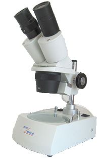 Student Stereoscopic Microscope