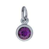 Sterling Silver Charm with Birthstone Crystal, FEB