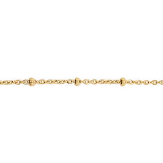Chain - Satellite Gold Filled / 1M