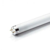 Flourescent Tube - 13watt