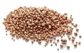 Master Alloys - Gold - Rose