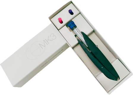 Application Kit w/ Silver Extra Easy Solder Paste