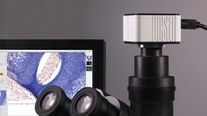 gt12 - 1/2.3" CMOS Colour 12MP Camera USB2