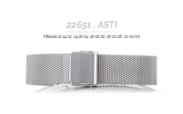 22561 Asti