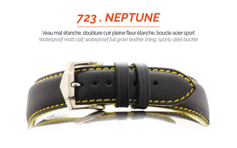 723 Neptune