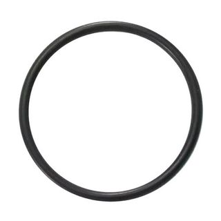 Light Bowl O Ring Filtrite Niche Mount