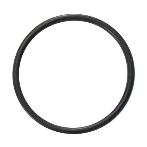 Light Bowl O Ring Filtrite Niche Mount