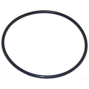 PQ Cartridge Filter Lid O Ring