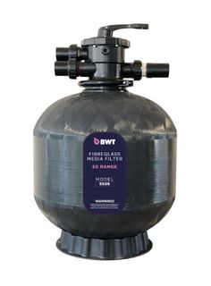 BWT ES25 Filter c/w 40mm MPV 80