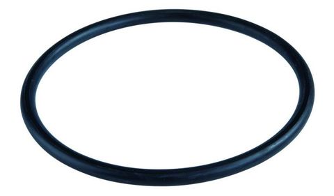 Filtron Union O Ring 40mm
