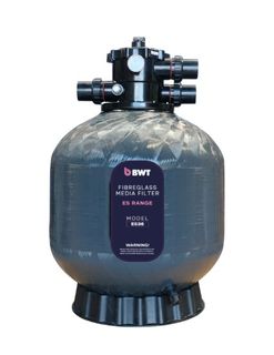 BWT ES36 Filter c/w 50mm MPV 180