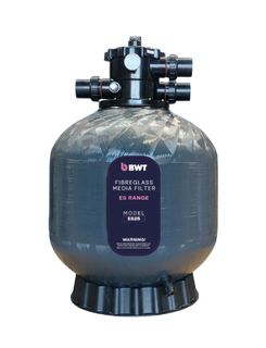 BWT ES25 Filter c/w 50mm MPV 80