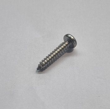 Light Screw Filtrite Niche Mount