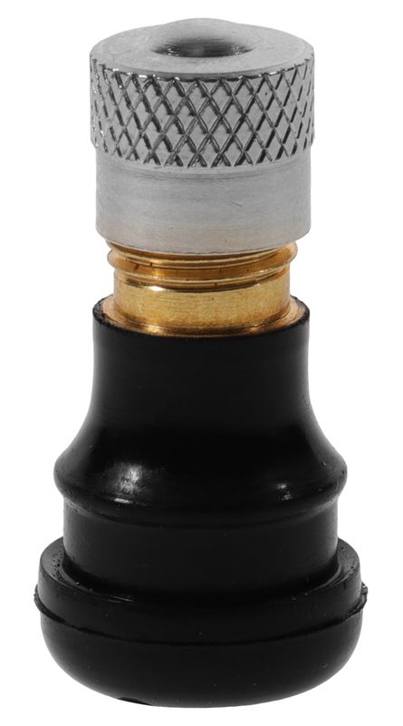 Tubeless Valve Stem for E-Scooters etc. Fits 8.8mm ~ 9.5mm valve hole. [Total length 24mm excl. cap.  Length above rim 17mm excl. cap]