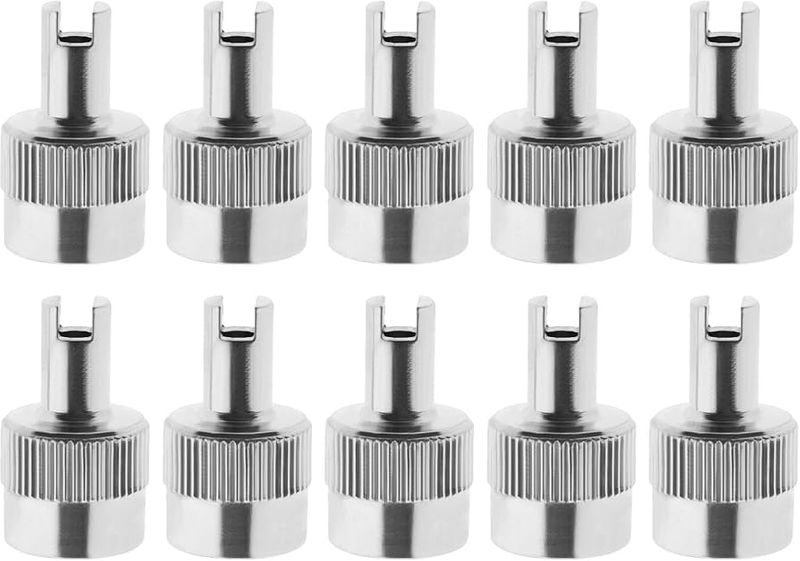 BAG OF 10 - Metal Valve Cap with Valve Key