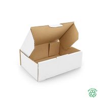 White Mailing Box 220mm x 160mm x 77mm