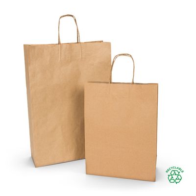 Brown Kraft Paper Carry Bags Twist Handle 160+70 x 265mm 500/ctn