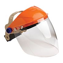 Browguard Visors